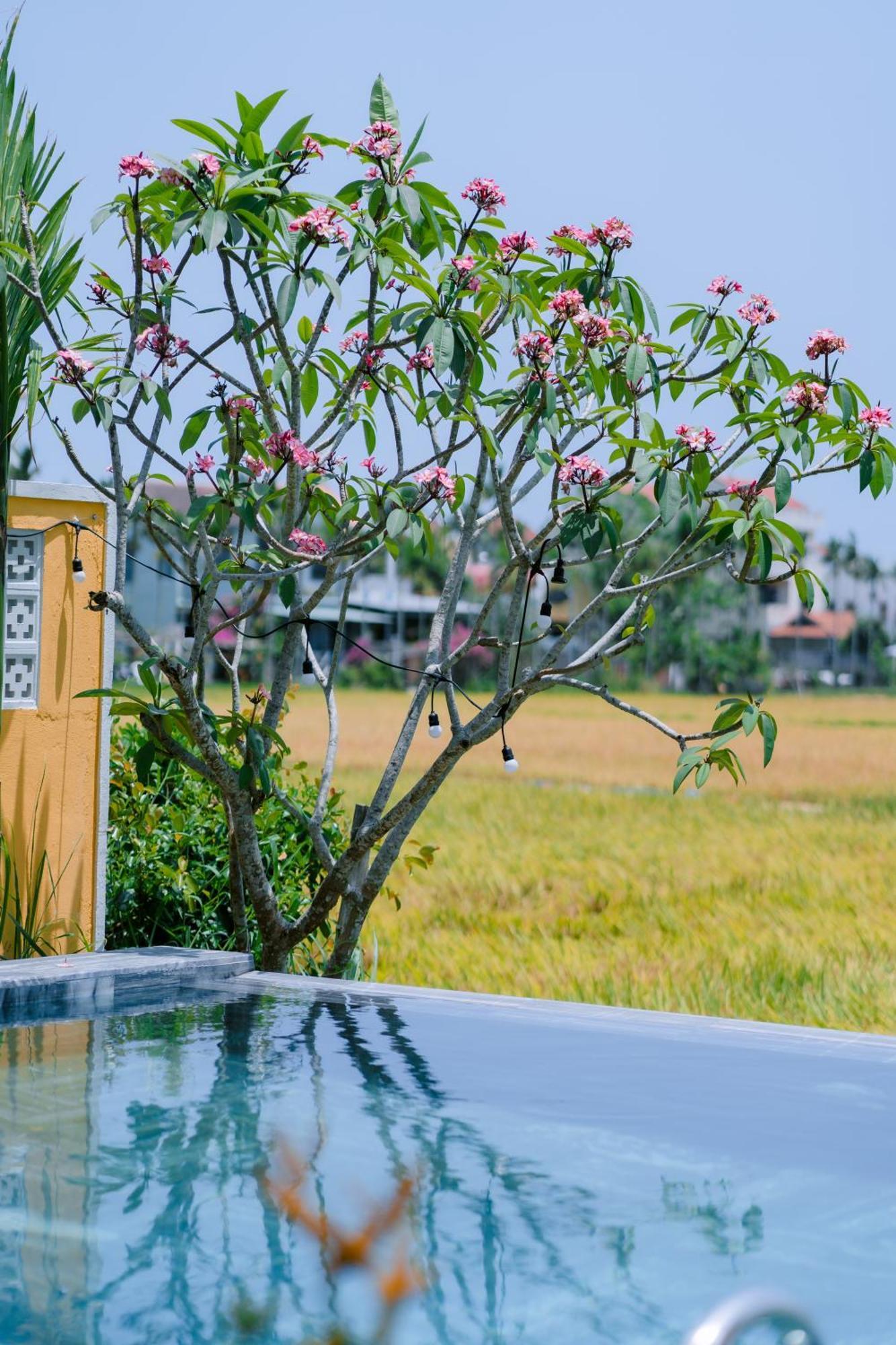 Bs Jade Home Hoi An Exteriör bild